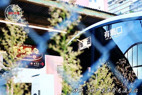 IMG_6614_1.jpg