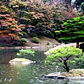 IMG_7000_1.jpg