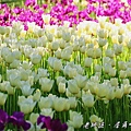042204.jpg