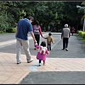 台北的過年難得有晴天，午後公園散步去