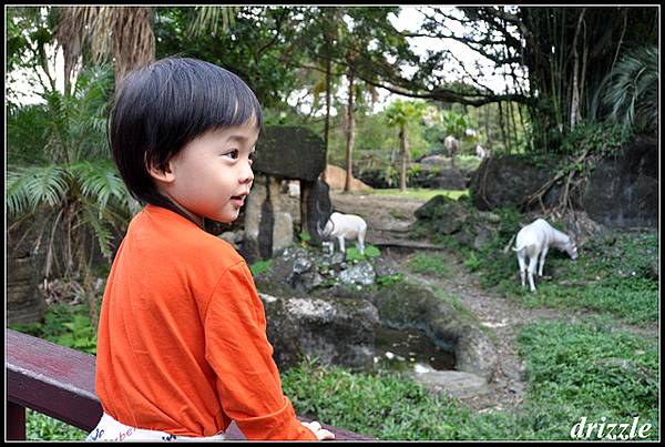 每一年來動物園，都有很不一樣的進步