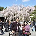 醍醐寺是位於京都東南方的寺廟