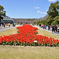 京都植物園