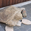 烏龜石