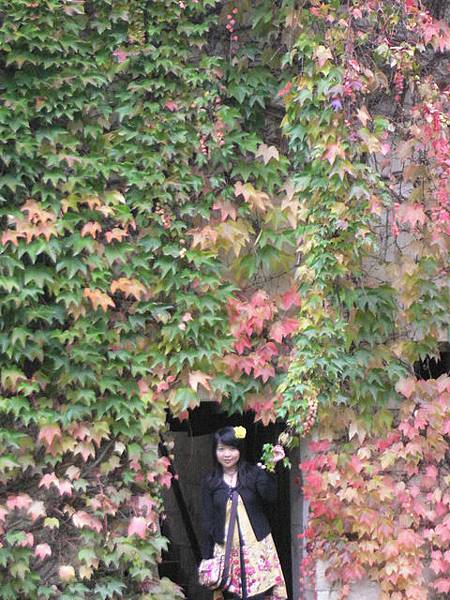 Chenonceaux