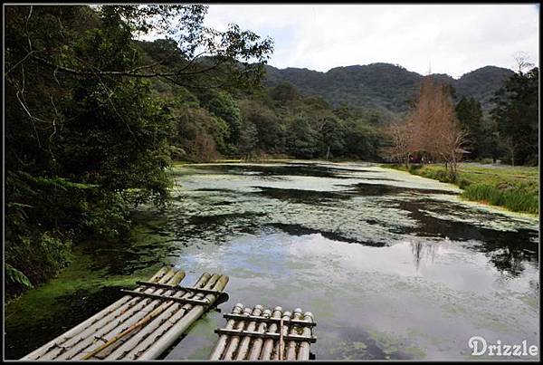 別稱雨霧森林，這天則是多雲時晴的天氣.jpg