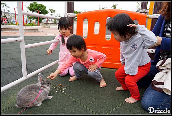 兔寶寶看兔寶寶.jpg