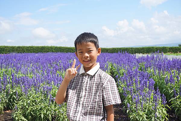 薰衣草田男孩五連拍.JPG