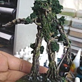 Treeman