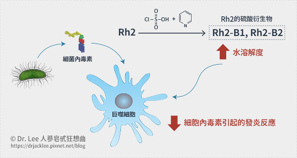 人蔘皂甙Rh2之硫酸衍生物對LPS所誘發的細胞發炎因子與介質之抑制效果