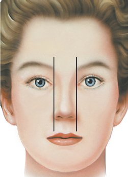 nose-8.jpg nose-8.jpg