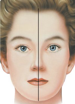 nose-5.jpg nose-5.jpg