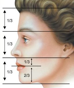nose-2.jpg nose-2.jpg