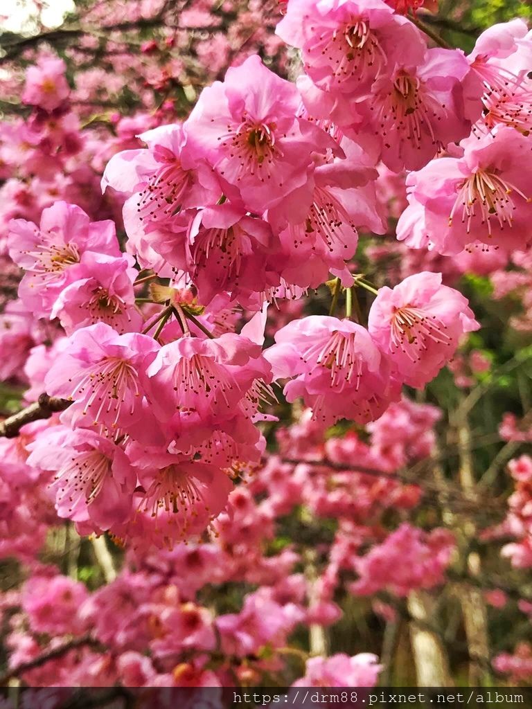70FA0204-7F95-467F-B03C-ABE94AB97B3B.jpeg 70FA0204-7F95-467F-B03C-ABE94AB97B3B.jpeg