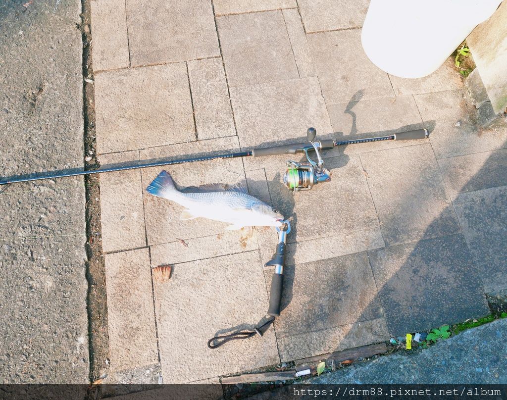 A987F7A0-9752-41C5-AB58-E16B9E31F106.jpeg A987F7A0-9752-41C5-AB58-E16B9E31F106.jpeg