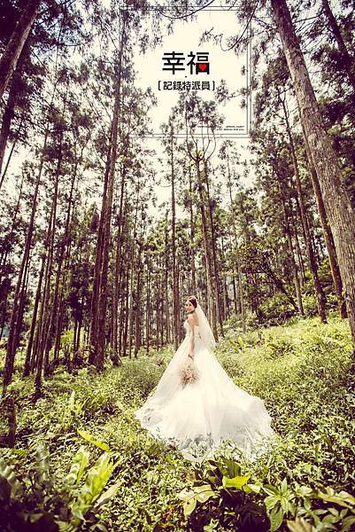 A_DO9188拷貝 A_DO9188拷貝