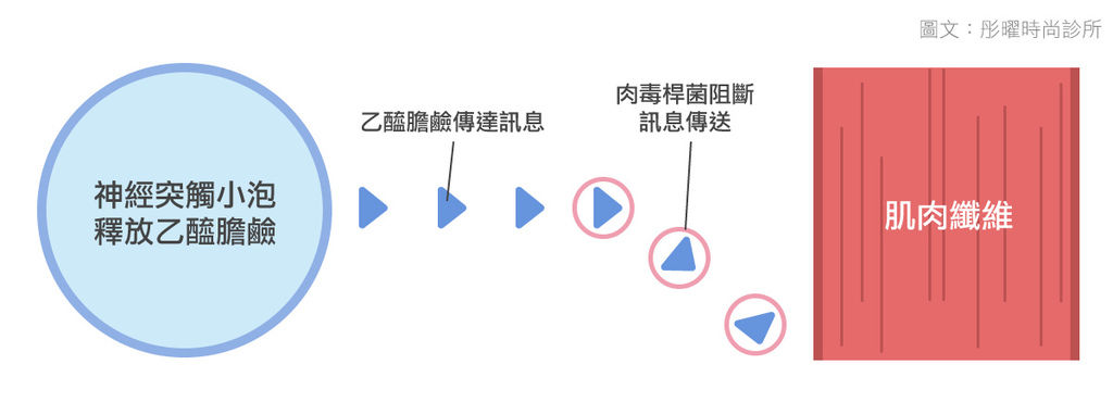 肉毒桿菌保養高雄高雄肉毒桿菌價格肉毒桿菌副作用肉毒桿菌高雄品牌高雄打肉毒桿菌肉毒桿菌是什麼肉毒桿菌功效 (3).jpg