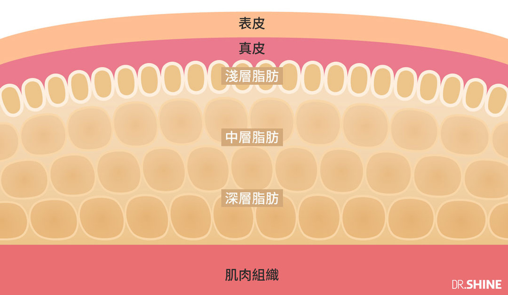 健身房馬甲線立塑超音波減脂減肥運動瘦身Vanquish隔空減脂隔空減脂費用隔空減脂價位隔空減脂價格隔空溶脂費用隔空減脂價錢隔空減脂ptt隔空減脂vanquish隔空減脂原理06.jpg 健身房馬甲線立塑超音波減脂減肥運動瘦身Vanquish隔空減脂隔空減脂費用隔空減脂價位隔空減脂價格隔空溶脂費用隔空減脂價錢隔空減脂ptt隔空減脂vanquish隔空減脂原理06.jpg