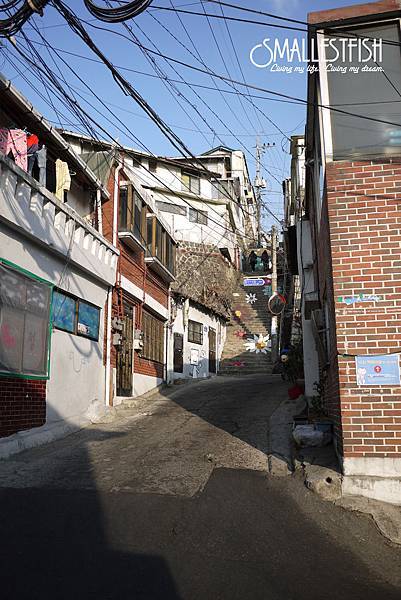 P1130617a.jpg