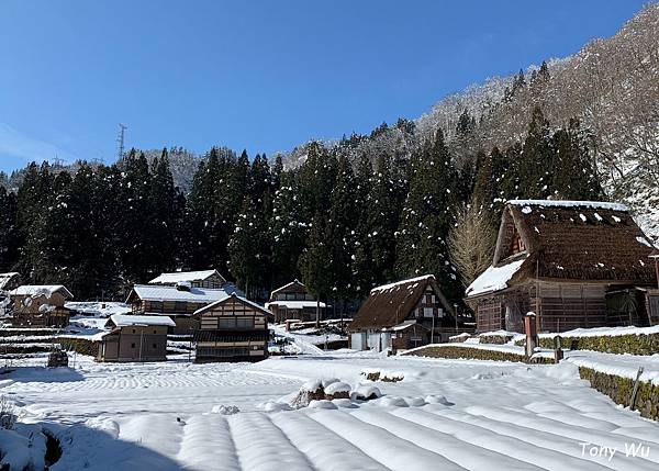 2020.02.02 相倉_合掌造雪景 2