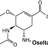 Oseltamivir.jpg