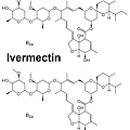 Ivermectin