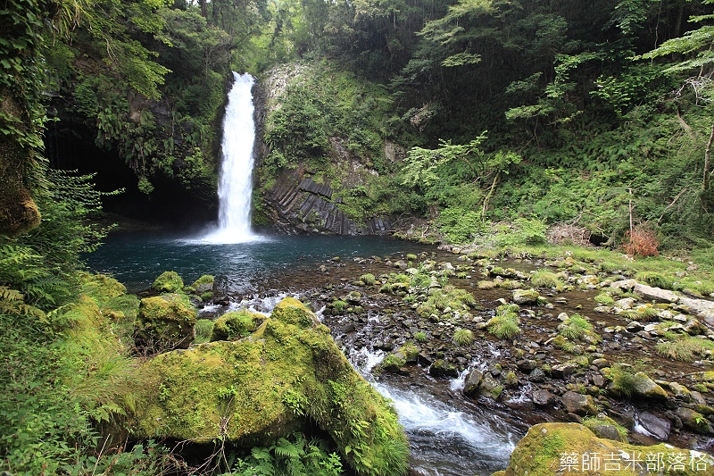 Izu_hanto_2014_03_061