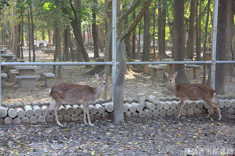 Nanyuan_farm_281.jpg