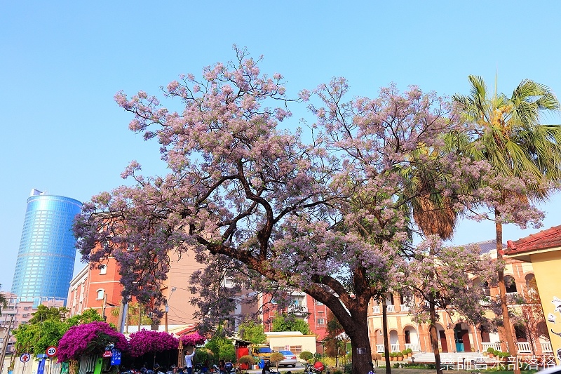 Tainan_150305_041.jpg