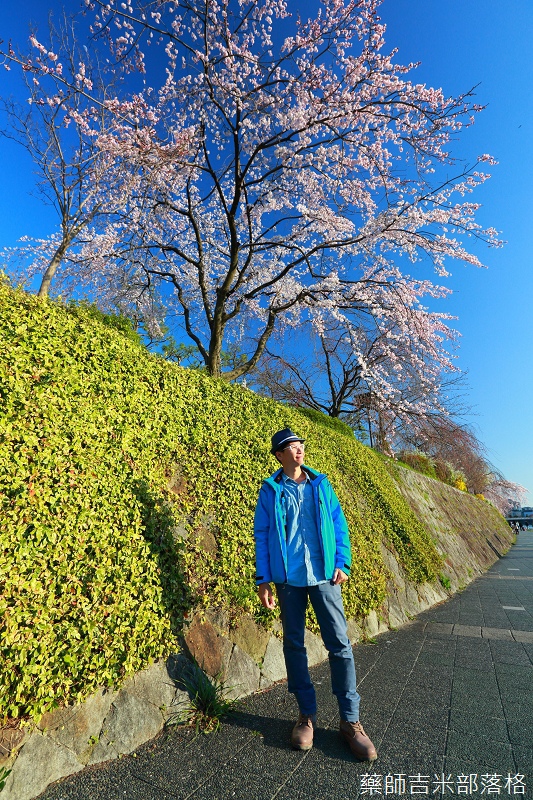 Kyoto_Sakura_029.jpg