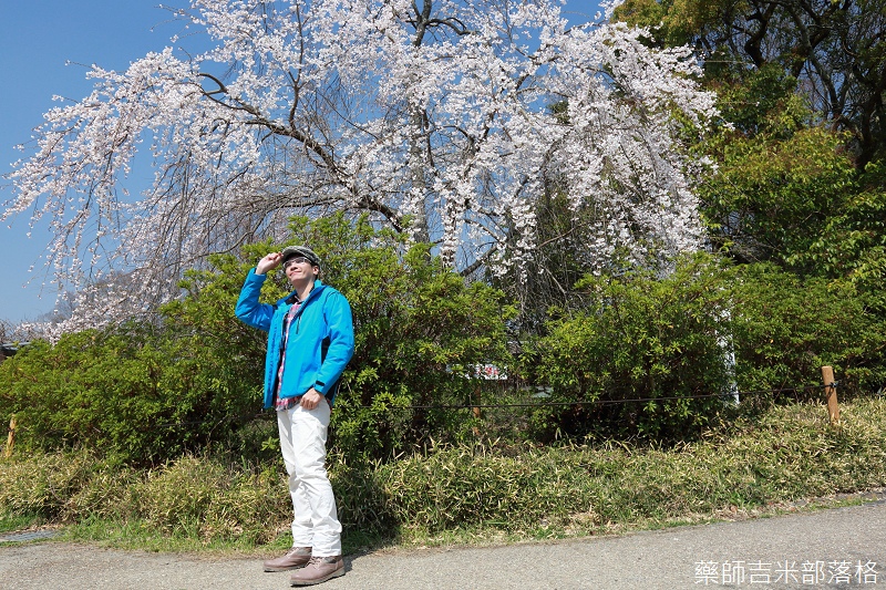 Kyoto_Sakura_119.jpg