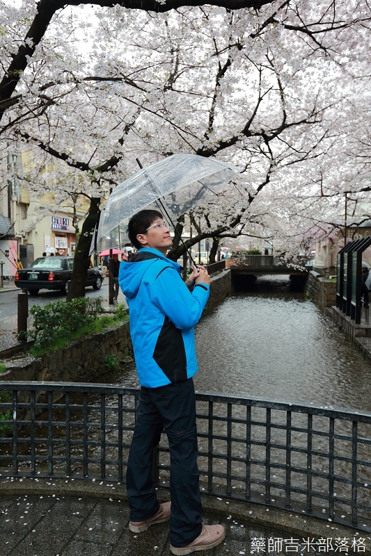 Kyoto_Sakura_543.jpg