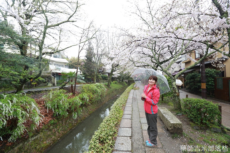 Kyoto_Sakura_559.jpg