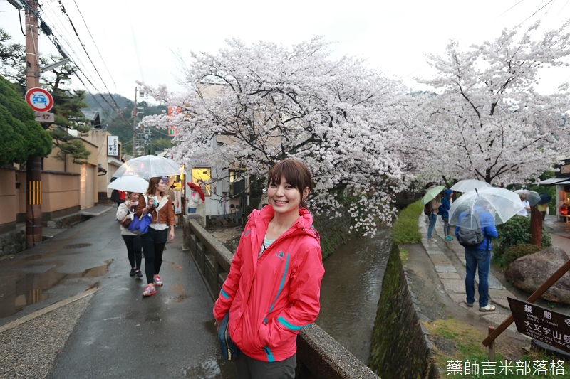 Kyoto_Sakura_568.jpg