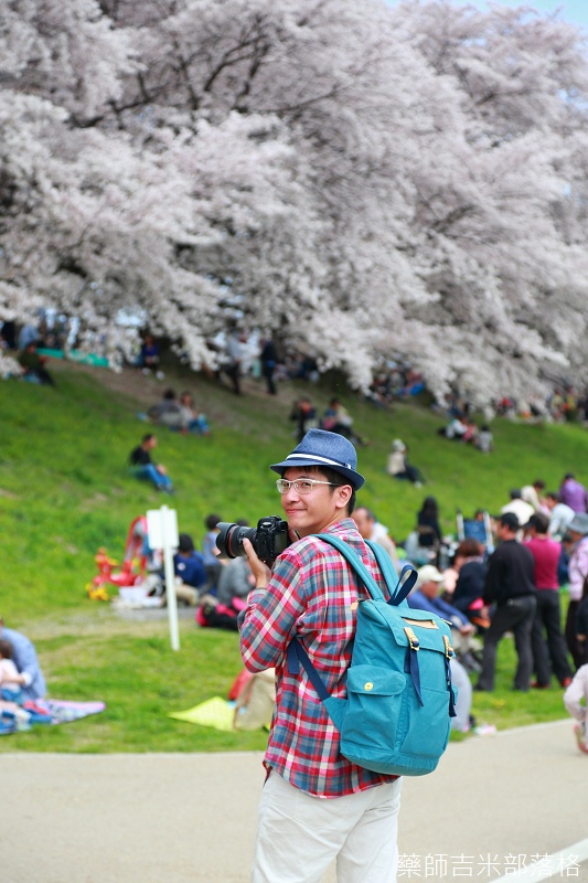 Kyoto_Sakura_679.jpg