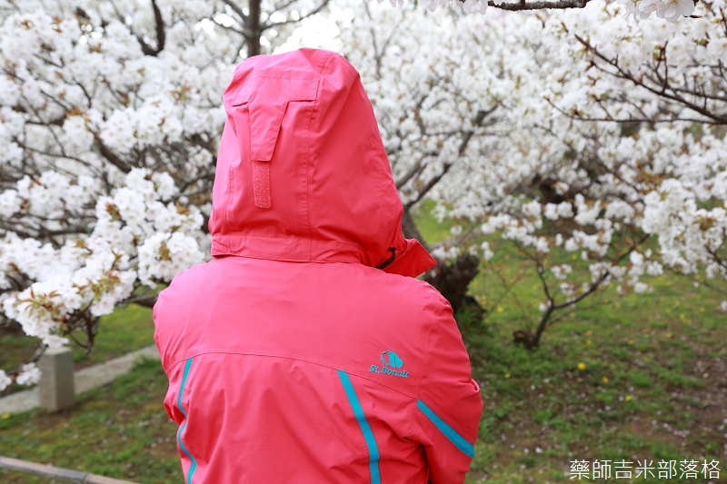 Kyoto_Sakura_846.jpg