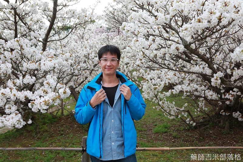 Kyoto_Sakura_865.jpg