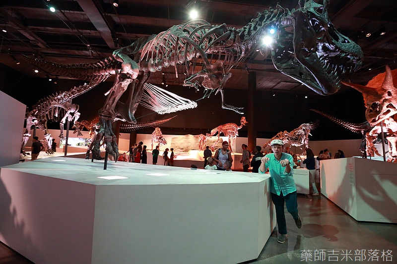 Houston_Hmns_0086.jpg