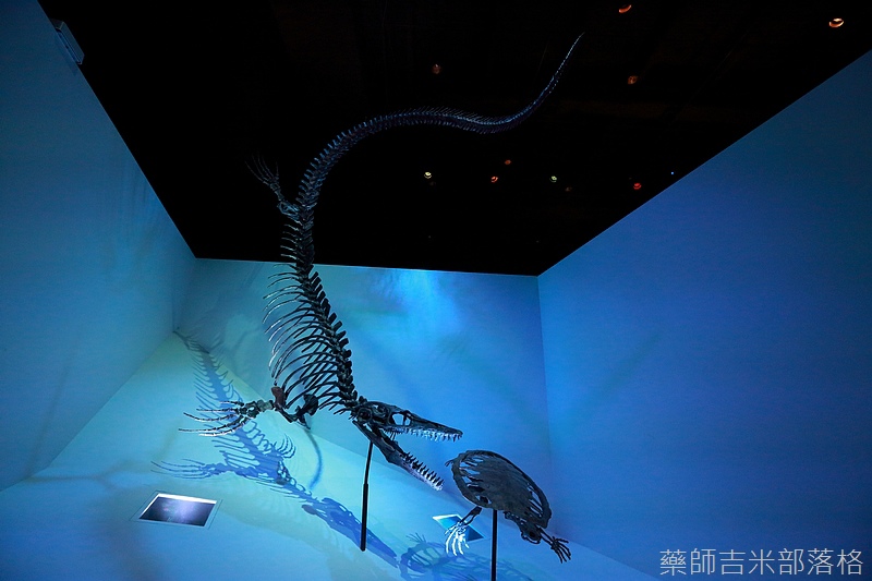 Houston_Hmns_0182.jpg