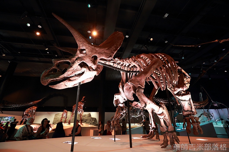 Houston_Hmns_0070.jpg