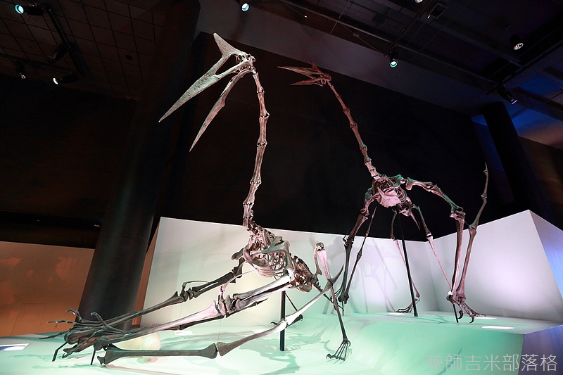 Houston_Hmns_0175.jpg