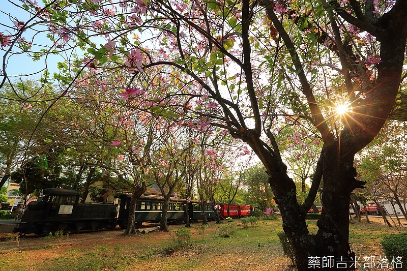 Chiayi_車庫園區_622.jpg