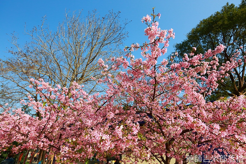 Hsinchu_160301_0819.jpg