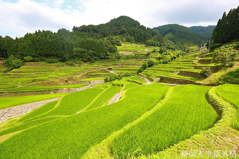 Kyushu_160720_1183.jpg