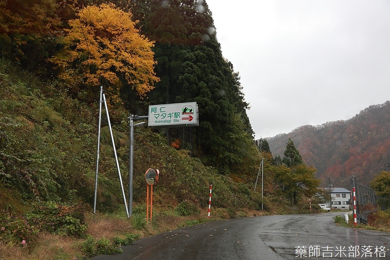 【日本东北】秋田内陆线阿仁マタギ駅,红叶时节超美的,不能跟过去的猎人一样猎熊,那就来场「红叶狩り(もみじがり)」之旅吧! 皮皮旅行网