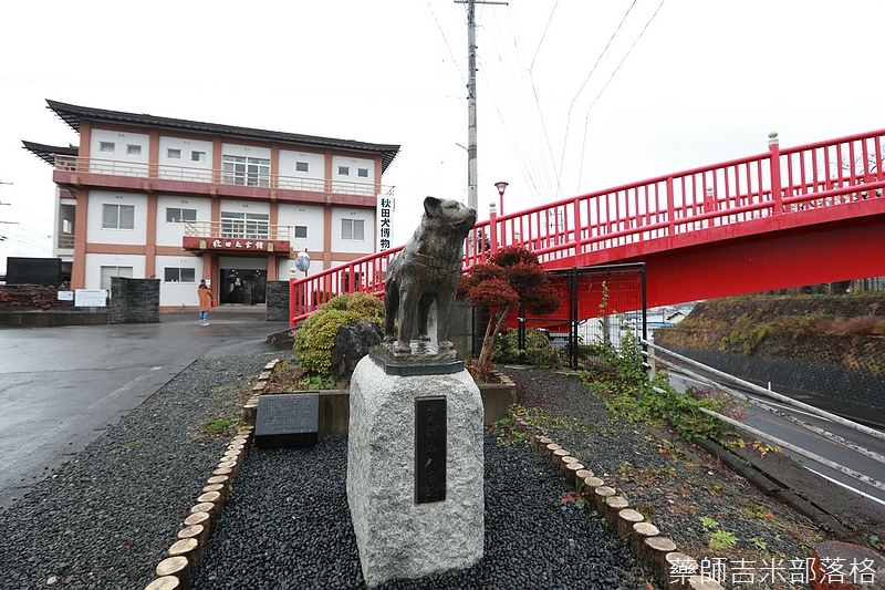 Akita_161101_0388.jpg