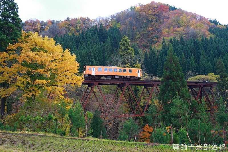 【日本东北】秋田内陆线阿仁マタギ駅,红叶时节超美的,不能跟过去的猎人一样猎熊,那就来场「红叶狩り(もみじがり)」之旅吧! 皮皮旅行网