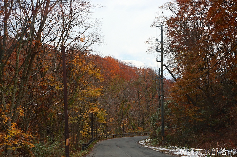 Akita_161102_0428.jpg