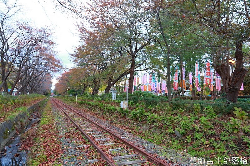 Akita_161102_1114.jpg