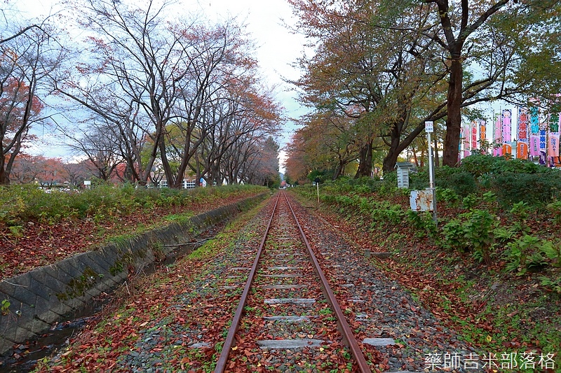 Akita_161102_1120.jpg